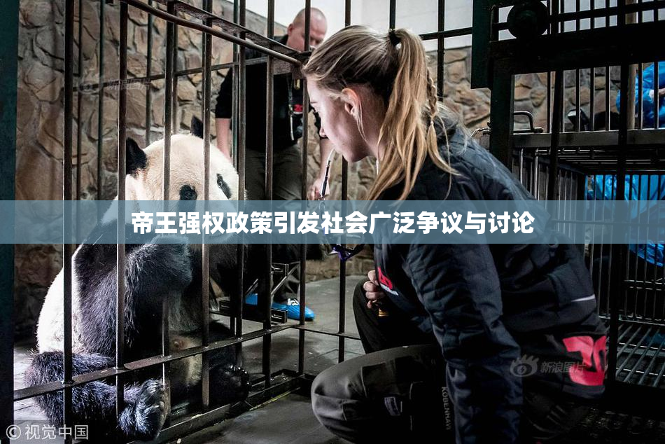 帝王强权政策引发社会广泛争议与讨论