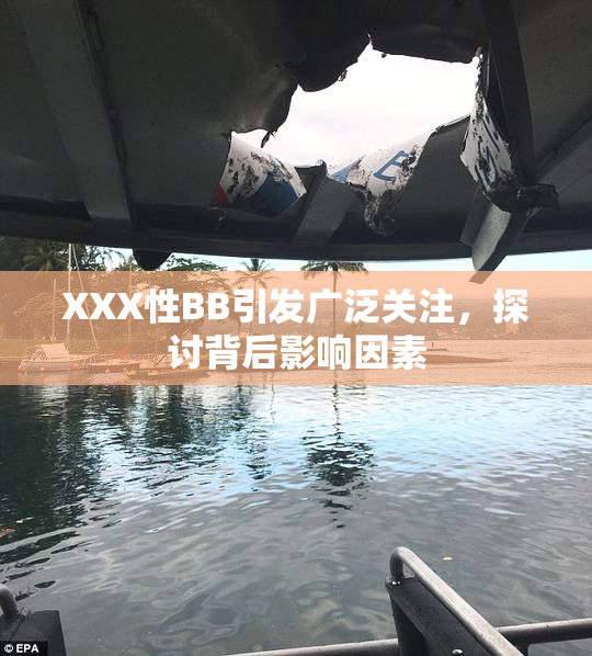 XXX性BB引发广泛关注，探讨背后影响因素