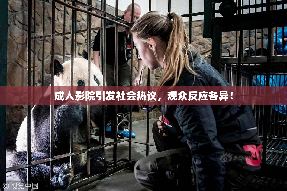 成人影院引发社会热议，观众反应各异！