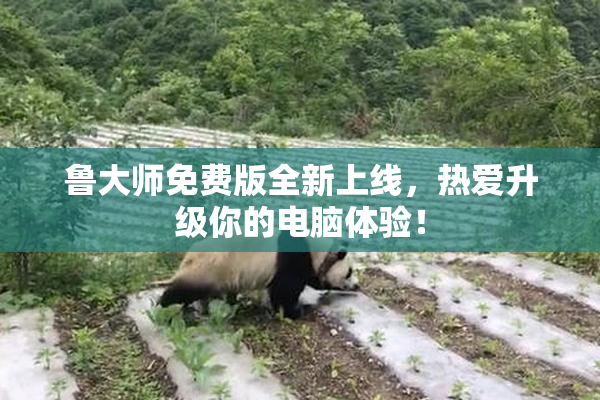 鲁大师免费版全新上线，热爱升级你的电脑体验！