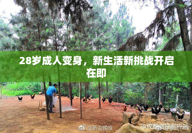28岁成人变身，新生活新挑战开启在即