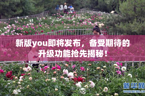 新版you即将发布，备受期待的升级功能抢先揭秘！
