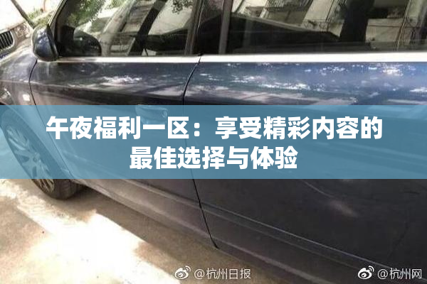 午夜福利一区：享受精彩内容的最佳选择与体验