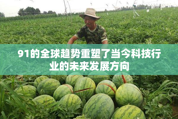91的全球趋势重塑了当今科技行业的未来发展方向