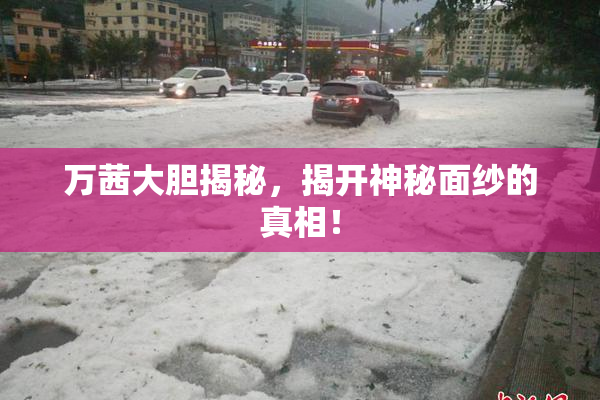 万茜大胆揭秘，揭开神秘面纱的真相！