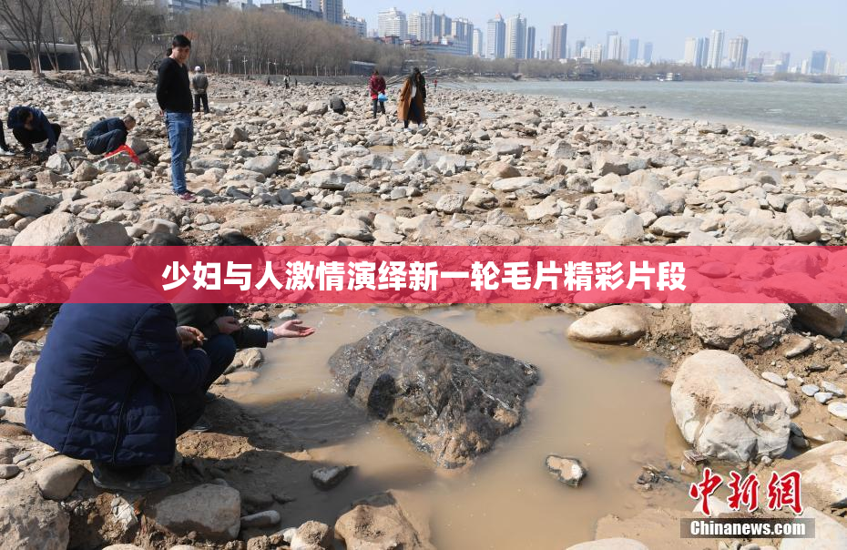 少妇与人激情演绎新一轮毛片精彩片段
