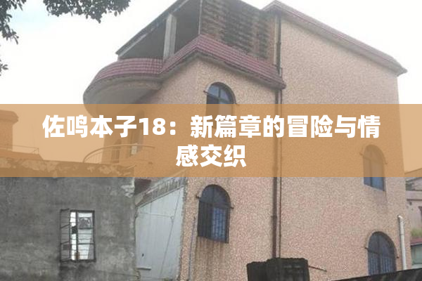 佐鸣本子18：新篇章的冒险与情感交织