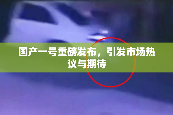 国产一号重磅发布，引发市场热议与期待