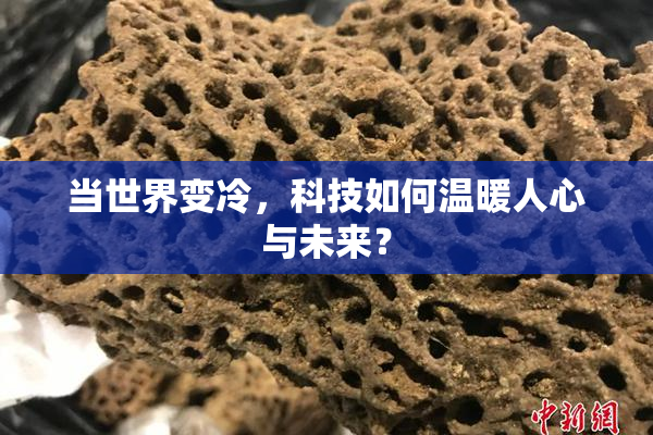 当世界变冷，科技如何温暖人心与未来？