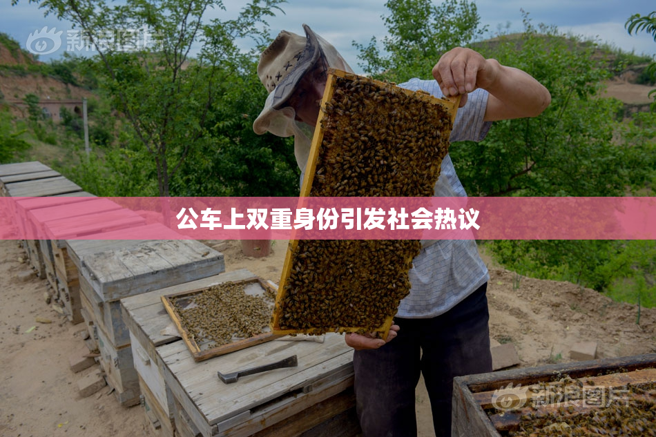 公车上双重身份引发社会热议
