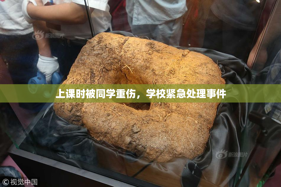 上课时被同学重伤，学校紧急处理事件