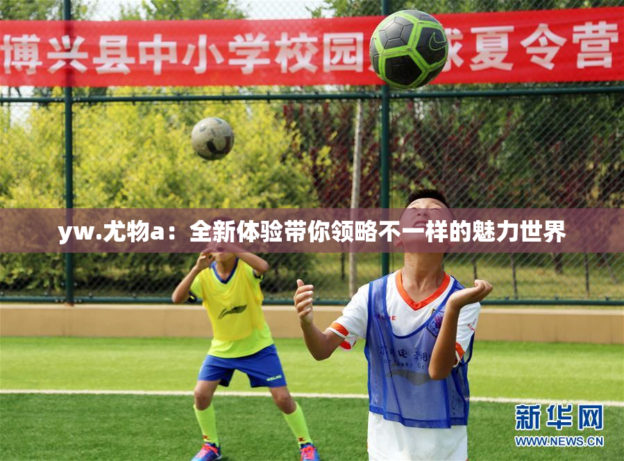 yw.尤物a：全新体验带你领略不一样的魅力世界