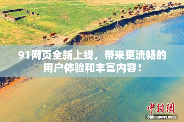 91网页全新上线，带来更流畅的用户体验和丰富内容！