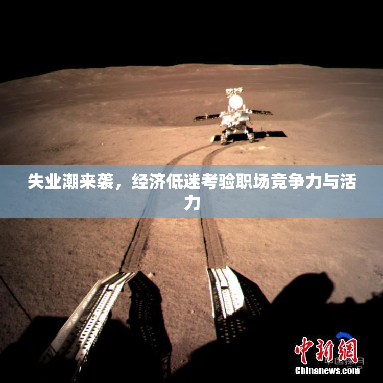 失业潮来袭，经济低迷考验职场竞争力与活力