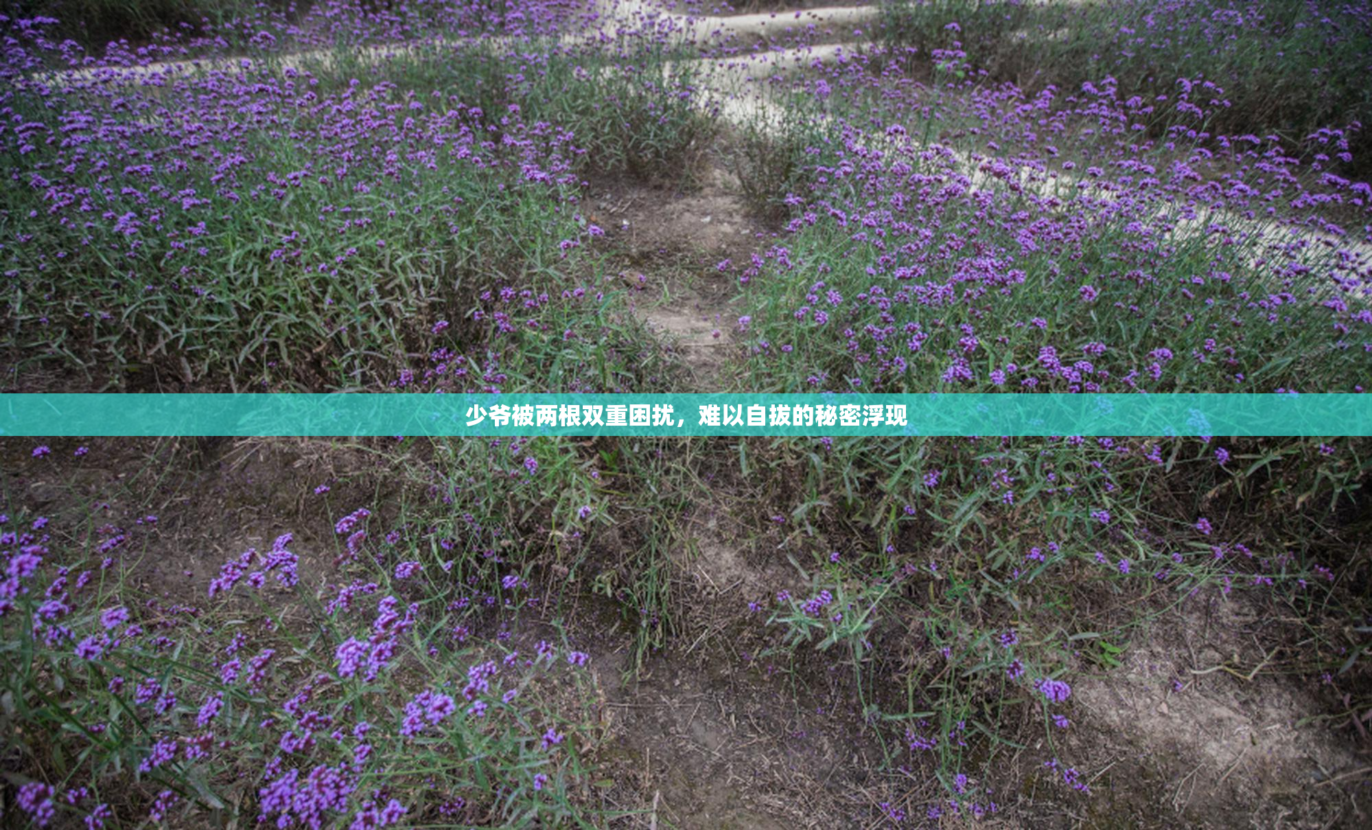 少爷被两根双重困扰，难以自拔的秘密浮现