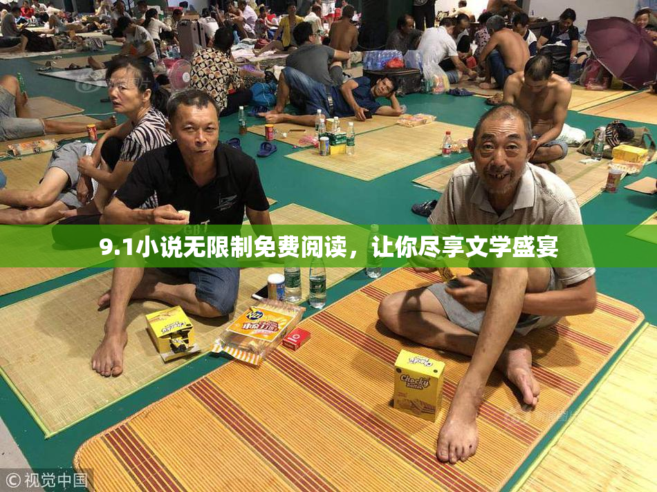 9.1小说无限制免费阅读，让你尽享文学盛宴