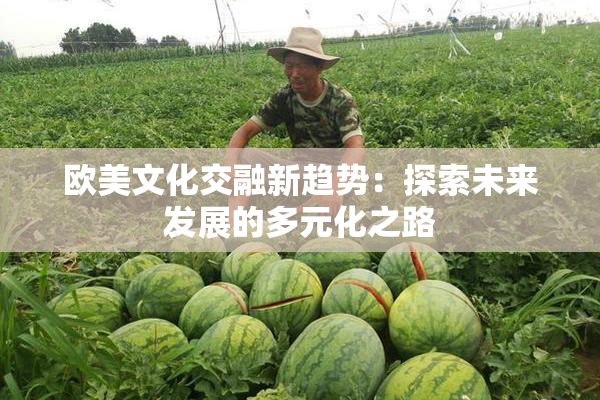 欧美文化交融新趋势：探索未来发展的多元化之路