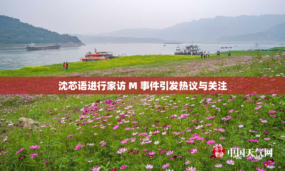 沈芯语进行家访 M 事件引发热议与关注