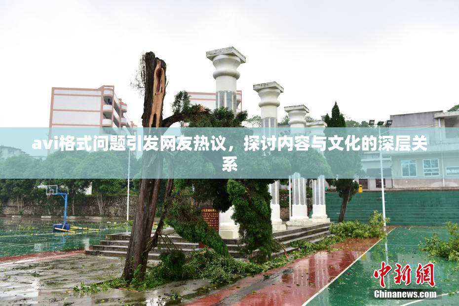 avi格式问题引发网友热议，探讨内容与文化的深层关系
