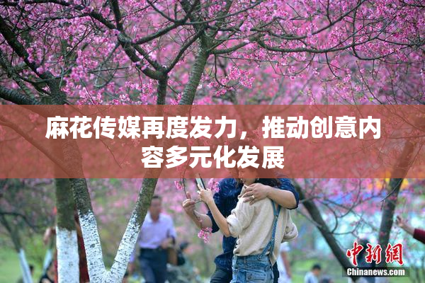 麻花传媒再度发力，推动创意内容多元化发展