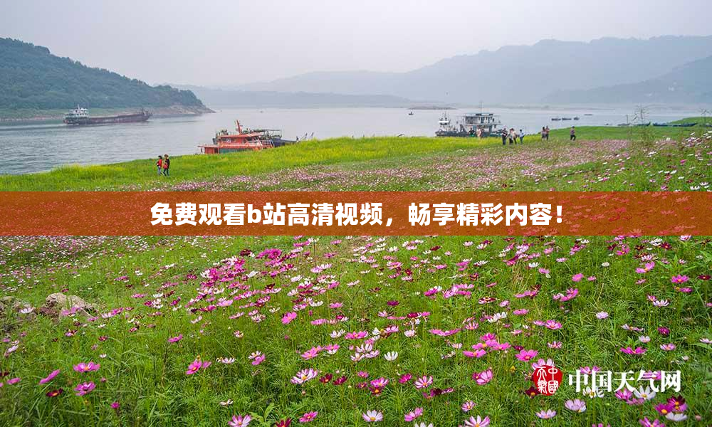 免费观看b站高清视频，畅享精彩内容！