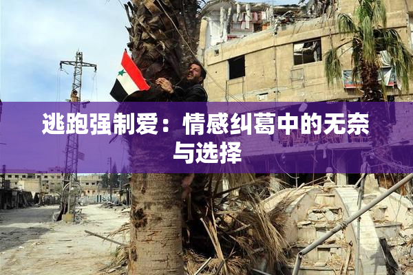 逃跑强制爱：情感纠葛中的无奈与选择