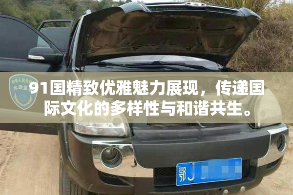 91国精致优雅魅力展现，传递国际文化的多样性与和谐共生。