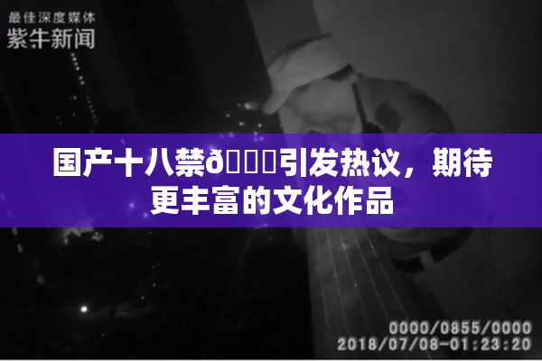 国产十八禁🔞引发热议，期待更丰富的文化作品