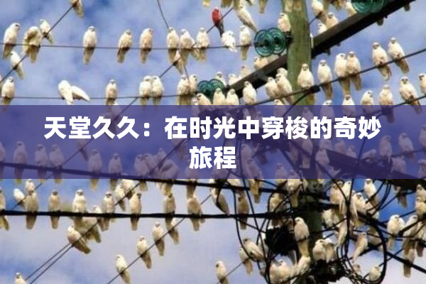 天堂久久：在时光中穿梭的奇妙旅程