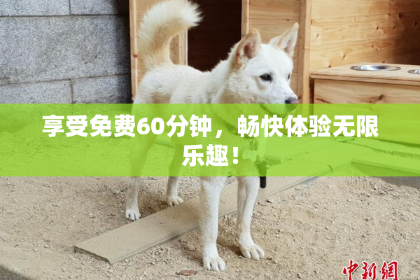 享受免费60分钟，畅快体验无限乐趣！