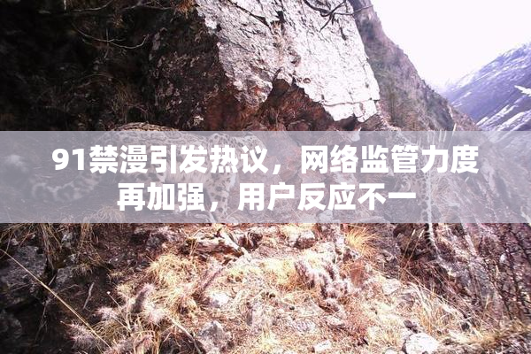 91禁漫引发热议，网络监管力度再加强，用户反应不一