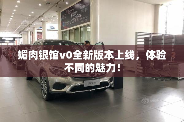 媚肉银馆v0全新版本上线，体验不同的魅力！