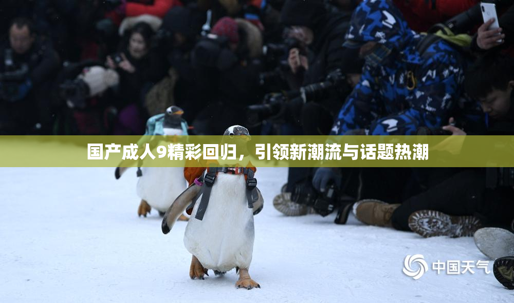 国产成人9精彩回归，引领新潮流与话题热潮