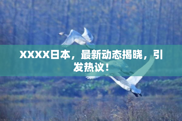 XXXX日本，最新动态揭晓，引发热议！