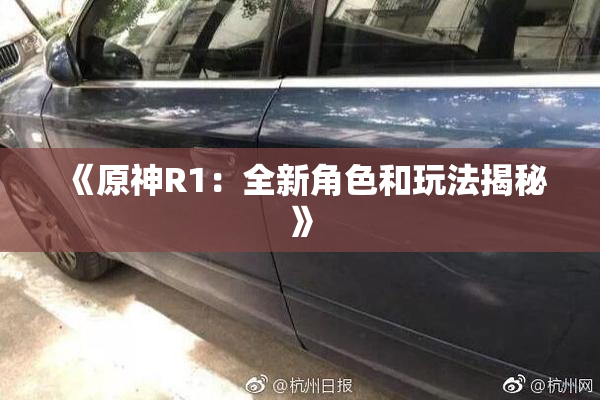 《原神R1：全新角色和玩法揭秘》