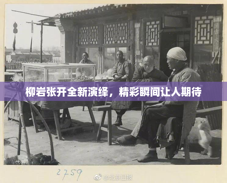 柳岩张开全新演绎，精彩瞬间让人期待