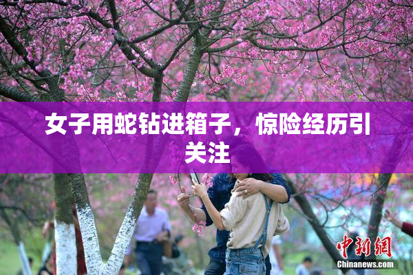 女子用蛇钻进箱子，惊险经历引关注