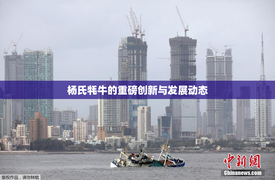 杨氏牦牛的重磅创新与发展动态