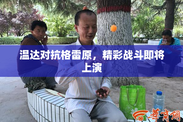 温达对抗格雷原，精彩战斗即将上演
