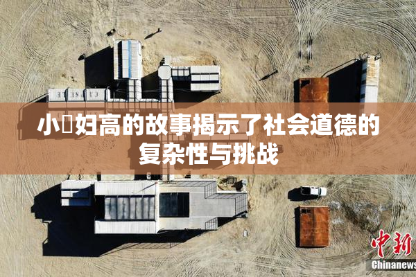 小婬妇高的故事揭示了社会道德的复杂性与挑战