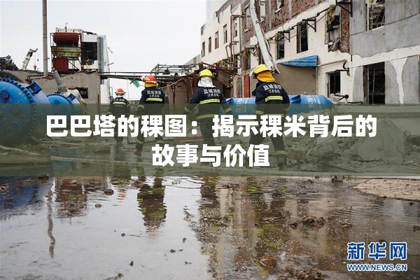 巴巴塔的稞图：揭示稞米背后的故事与价值