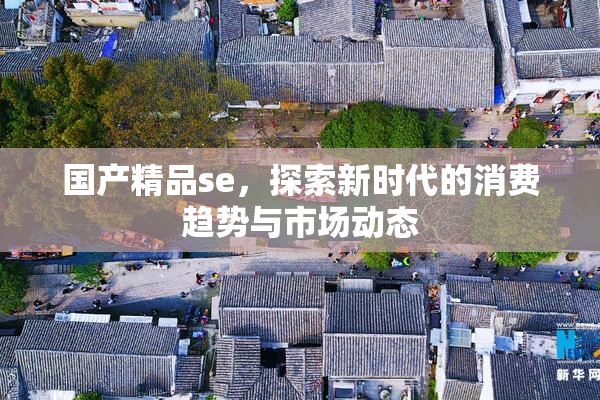 国产精品se，探索新时代的消费趋势与市场动态