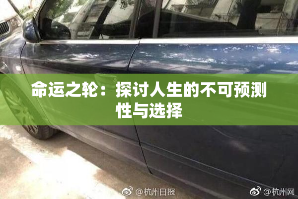 命运之轮：探讨人生的不可预测性与选择