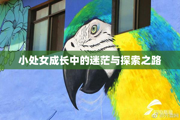 小处女成长中的迷茫与探索之路