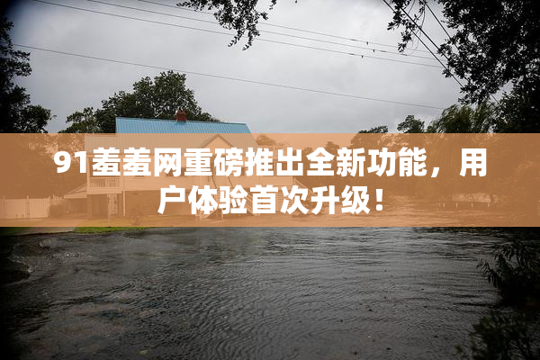 91羞羞网重磅推出全新功能，用户体验首次升级！