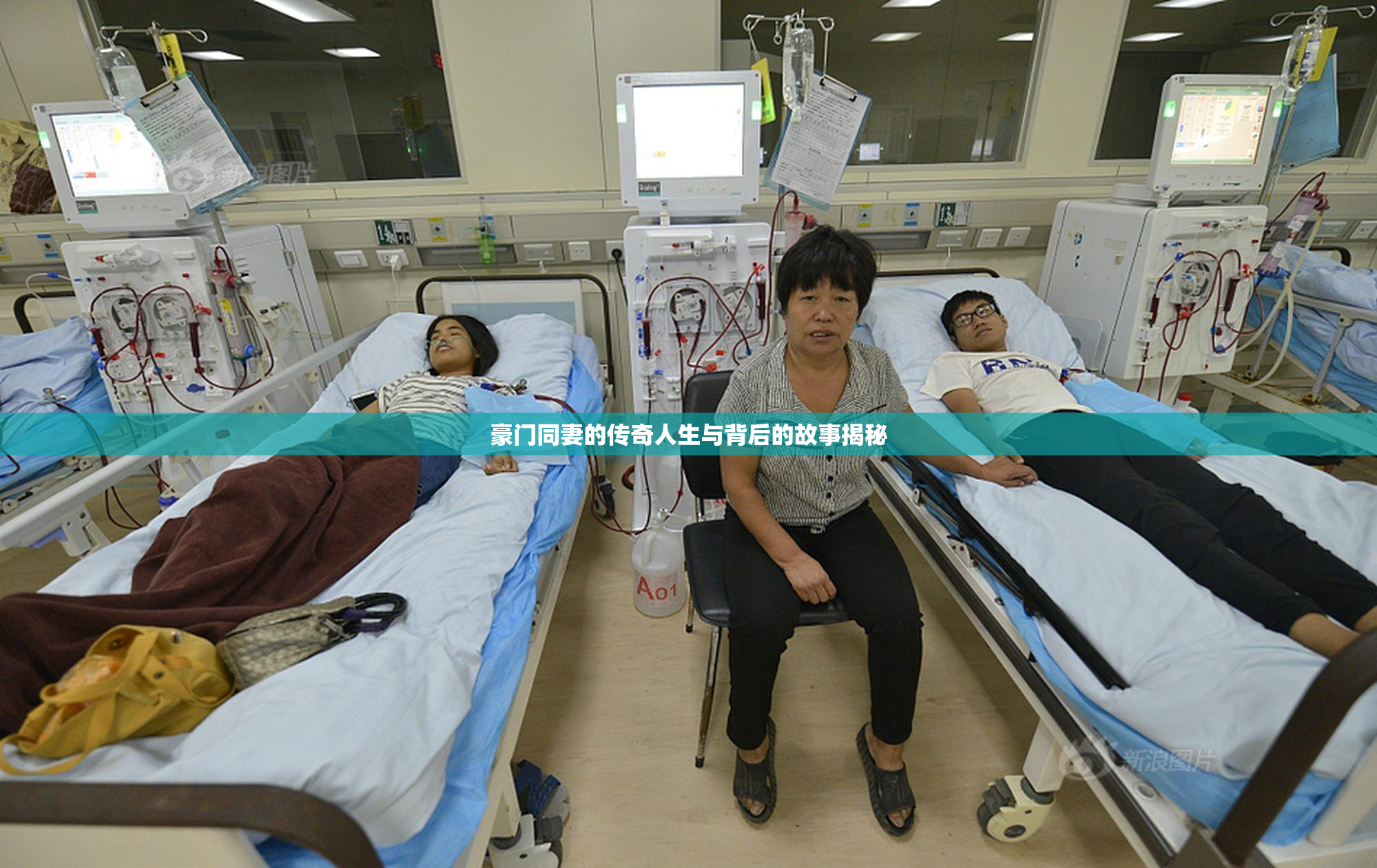 豪门同妻的传奇人生与背后的故事揭秘