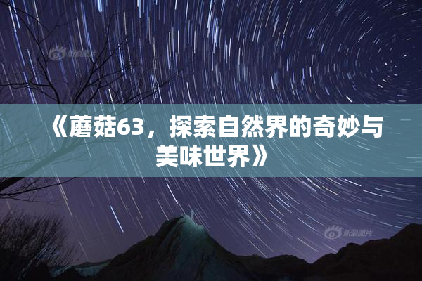 《蘑菇63，探索自然界的奇妙与美味世界》