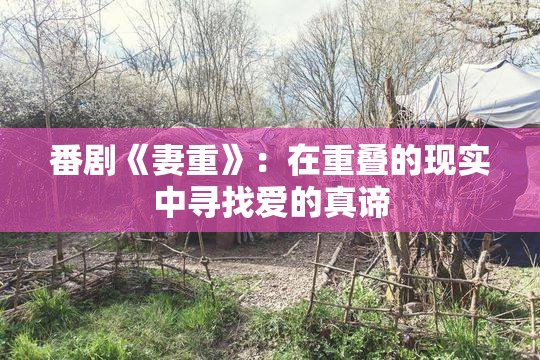 番剧《妻重》：在重叠的现实中寻找爱的真谛