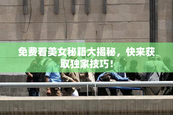 免费看美女秘籍大揭秘，快来获取独家技巧！