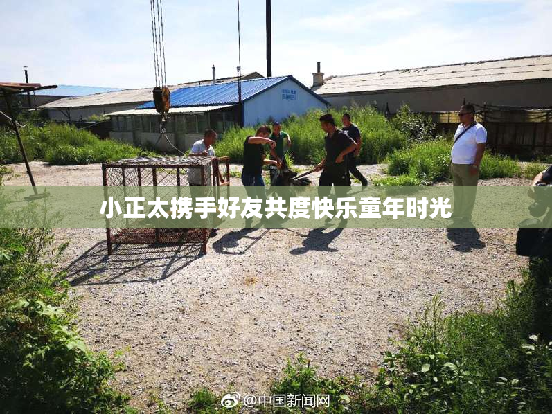 小正太携手好友共度快乐童年时光